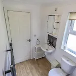 Robin View